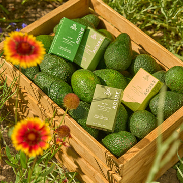 Wooden crate filled with avocados and Acure x Aprivot Lane Farm organic skincare products outdoors.